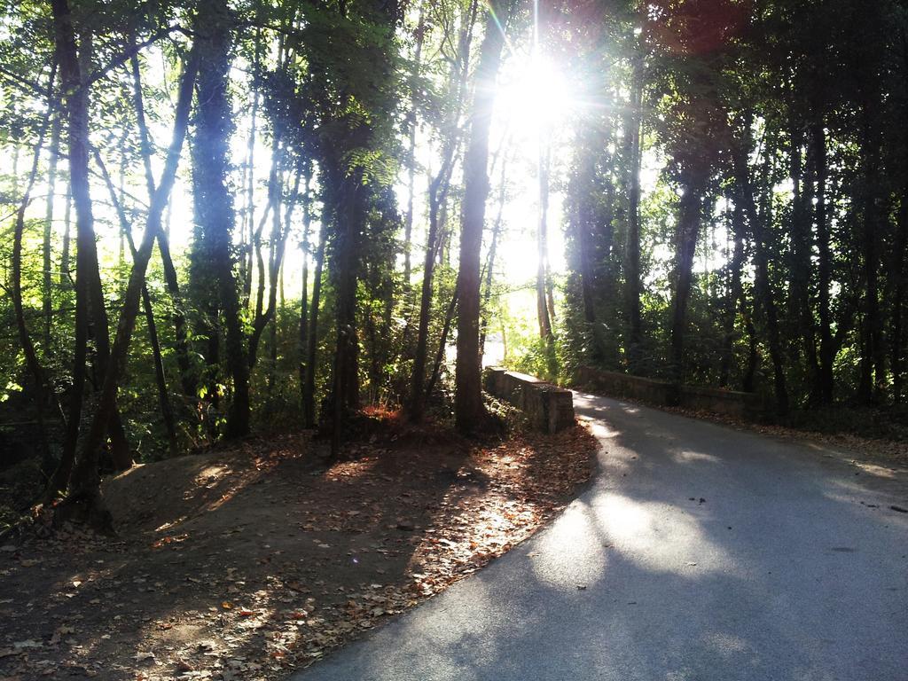 Casa Rural Can Miquel - En Pleno Bosque Y Cerca De La Playa - Increibles Rutas Btt Santa Coloma De Farners Exteriér fotografie