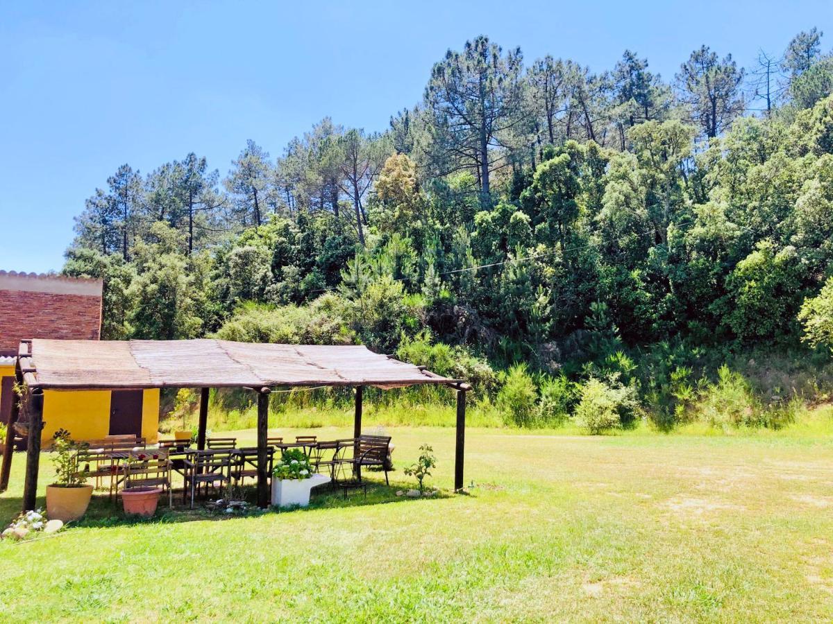 Casa Rural Can Miquel - En Pleno Bosque Y Cerca De La Playa - Increibles Rutas Btt Santa Coloma De Farners Exteriér fotografie