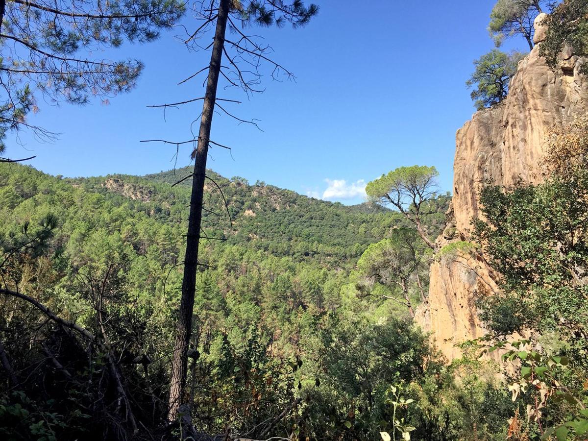 Casa Rural Can Miquel - En Pleno Bosque Y Cerca De La Playa - Increibles Rutas Btt Santa Coloma De Farners Exteriér fotografie